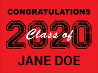 Senior 2020